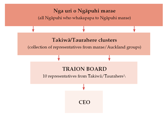 ngapuhi history